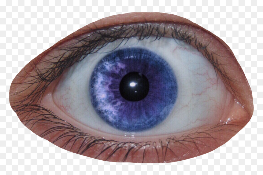 Detail Eyeballs Png Nomer 24