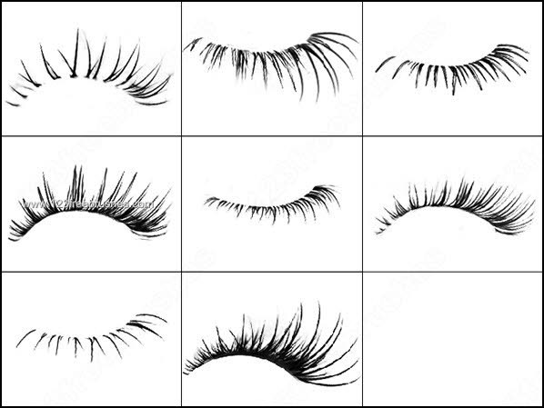 Eyelash Brush Photoshop Free Download - KibrisPDR