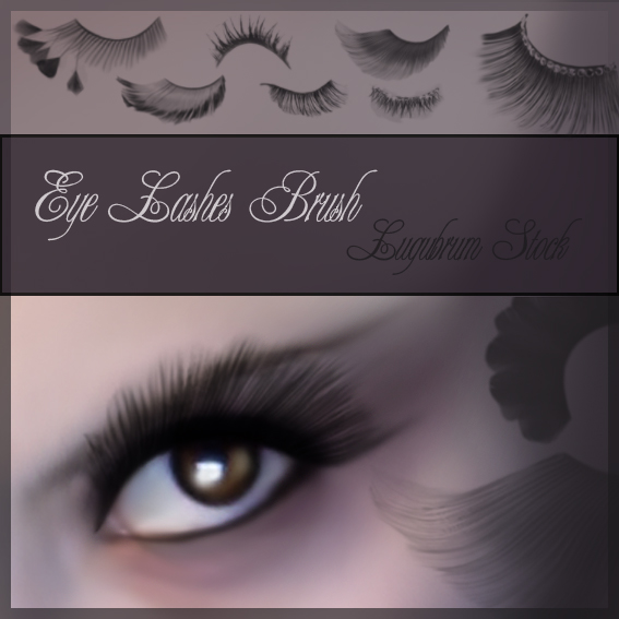 Detail Eyelash Brush Photoshop Free Download Nomer 42