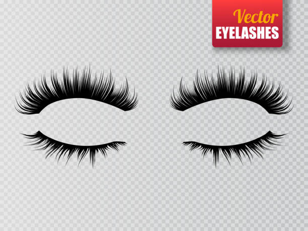 Detail Eyelash Brush Photoshop Free Download Nomer 48