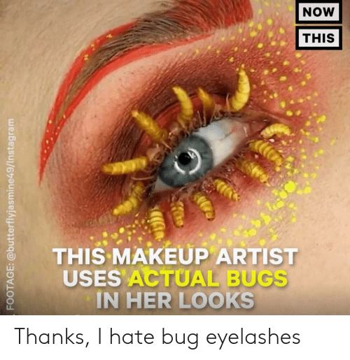 Detail Eyelash Bug Meme Nomer 33