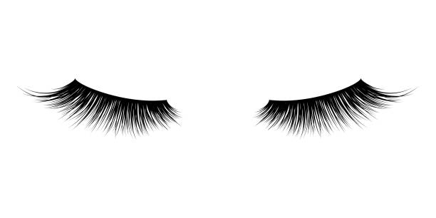 Eyelash Clipart - KibrisPDR