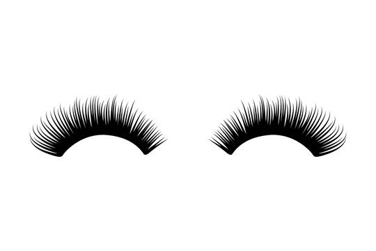 Detail Eyelash Clipart Nomer 3