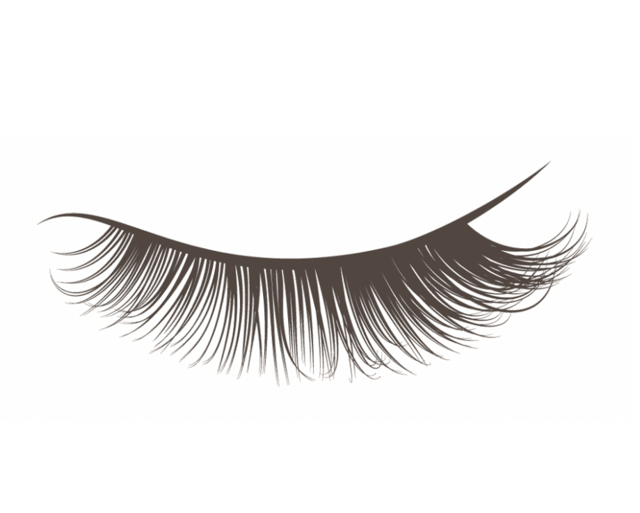 Detail Eyelash Clipart Nomer 4