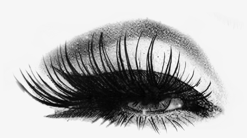 Detail Eyelash Extension Logo Nomer 55