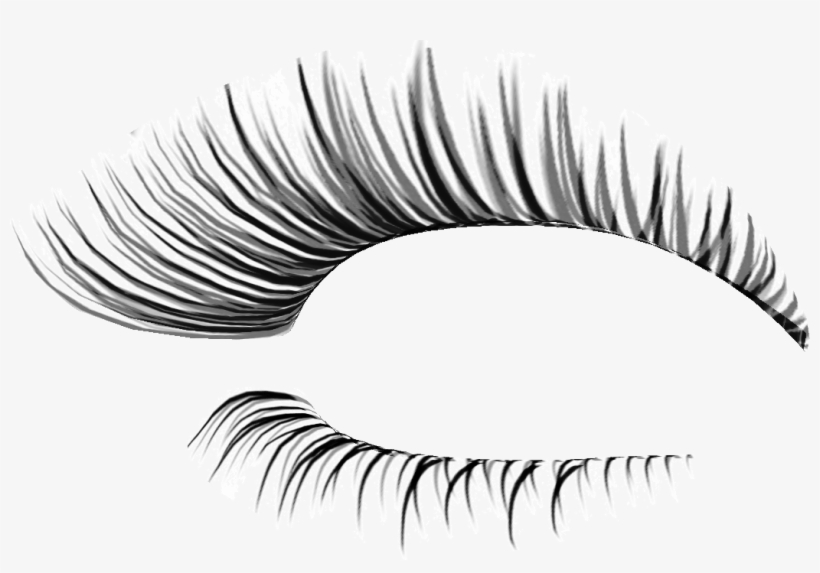 Eyelash Extensions Transparent Background - KibrisPDR