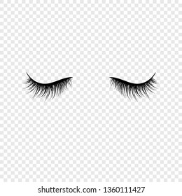Detail Eyelash Extensions Transparent Background Nomer 16