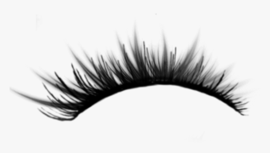 Detail Eyelash Extensions Transparent Background Nomer 3