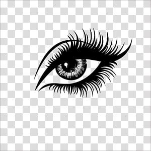 Detail Eyelash Extensions Transparent Background Nomer 24