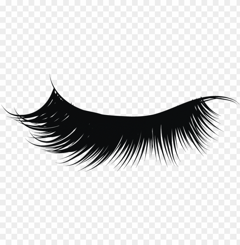 Detail Eyelash Extensions Transparent Background Nomer 4