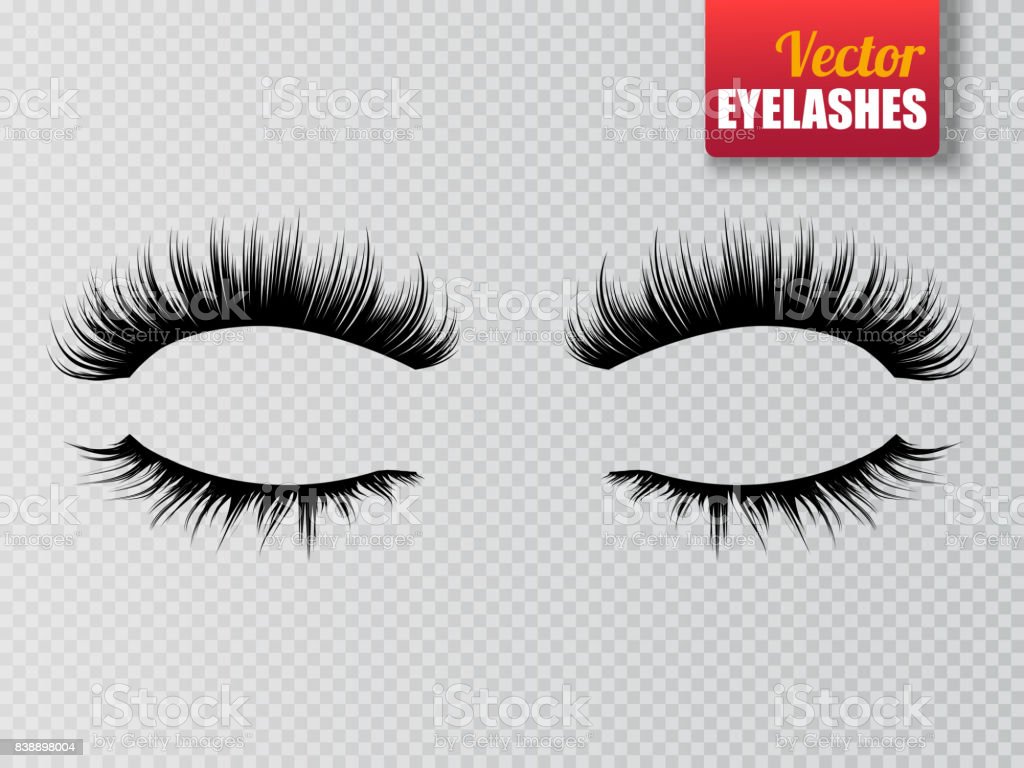 Detail Eyelash Extensions Transparent Background Nomer 29