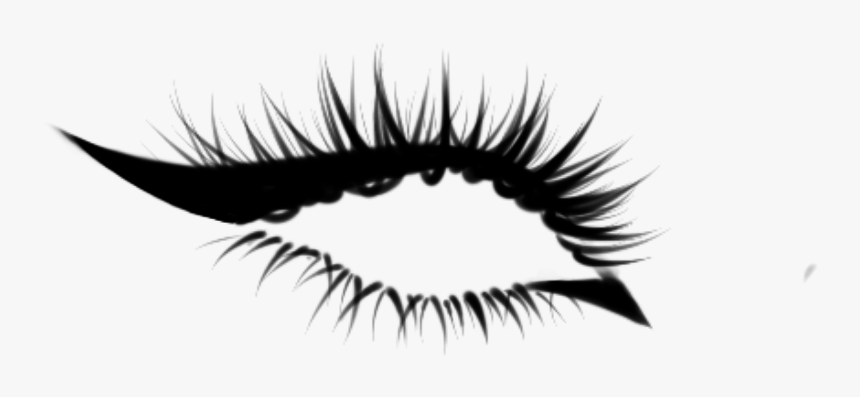 Detail Eyelash Extensions Transparent Background Nomer 31