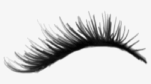 Detail Eyelash Extensions Transparent Background Nomer 34