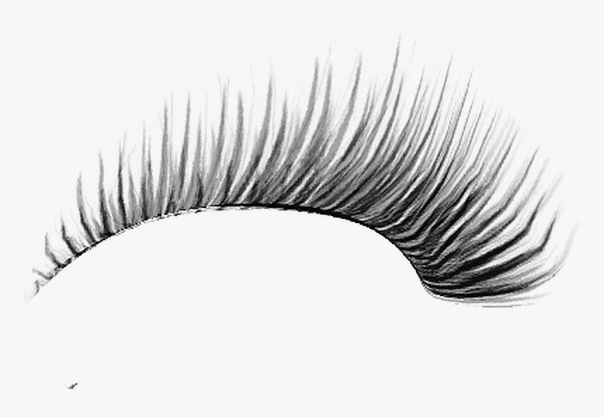 Detail Eyelash Extensions Transparent Background Nomer 38