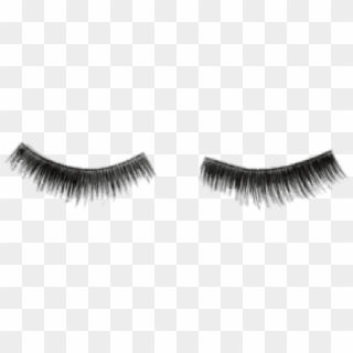 Detail Eyelash Extensions Transparent Background Nomer 43