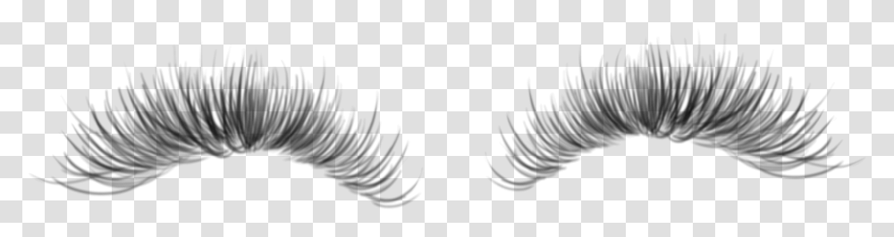 Detail Eyelash Extensions Transparent Background Nomer 45