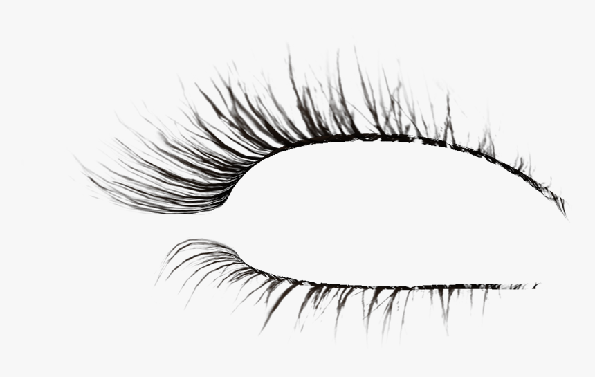 Detail Eyelash Extensions Transparent Background Nomer 49