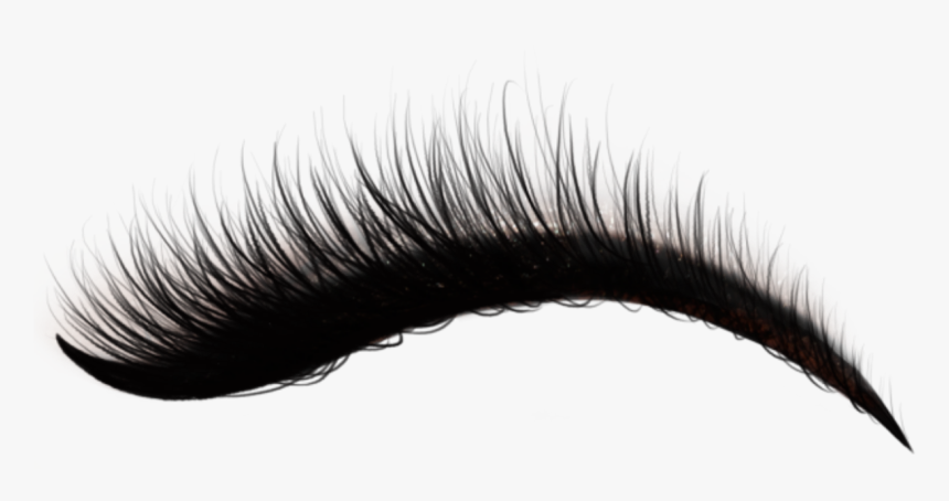Detail Eyelash Extensions Transparent Background Nomer 52
