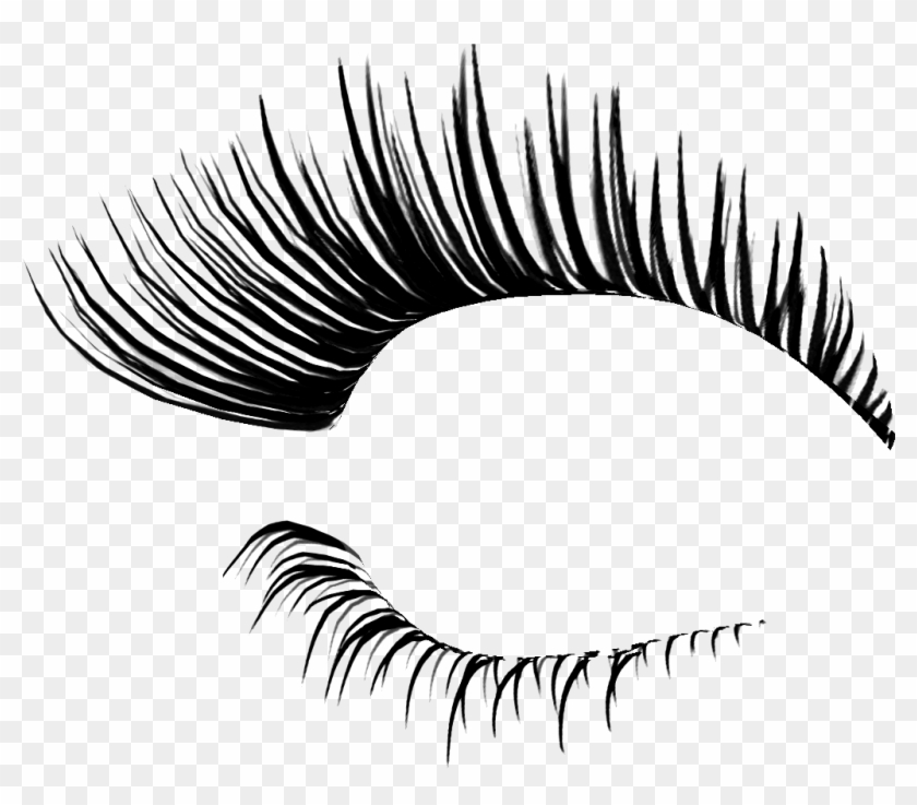 Detail Eyelash Extensions Transparent Background Nomer 6