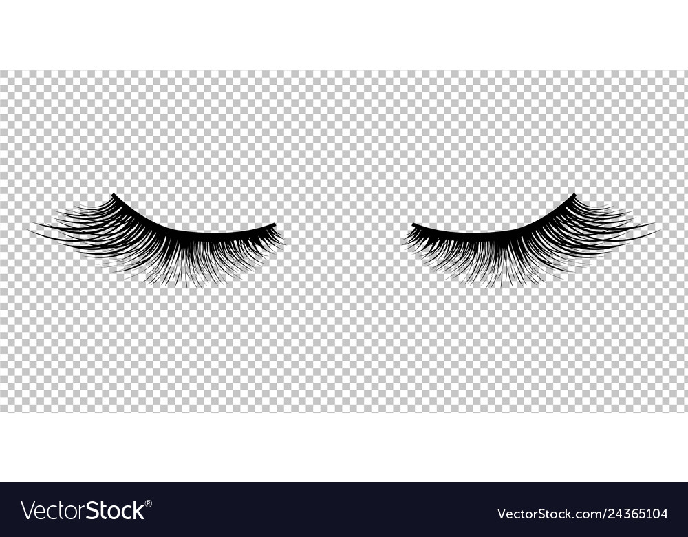 Eyelash Icon Transparent Background - KibrisPDR