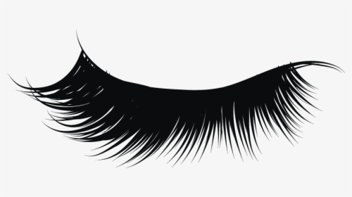 Detail Eyelash Icon Transparent Background Nomer 12