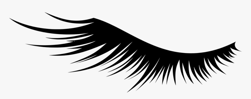 Detail Eyelash Icon Transparent Background Nomer 3