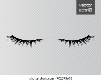 Detail Eyelash Icon Transparent Background Nomer 45