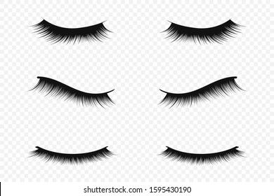 Detail Eyelash Icon Transparent Background Nomer 50