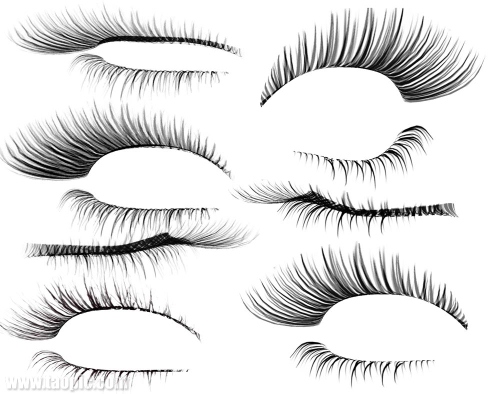 Detail Eyelash Images Nomer 34