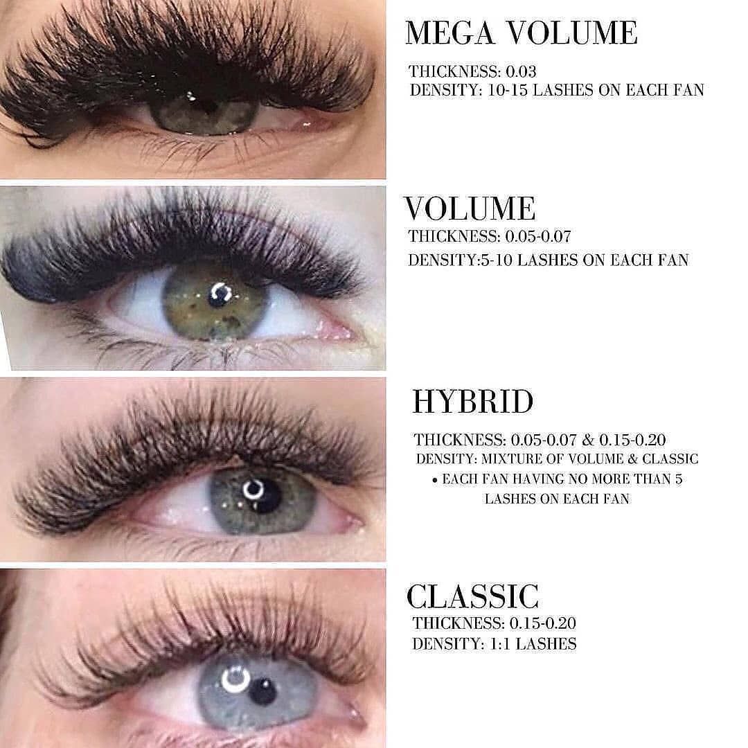 Detail Eyelash Images Nomer 38