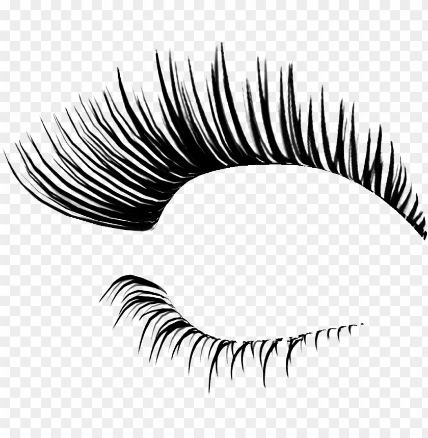 Detail Eyelash Png Nomer 19