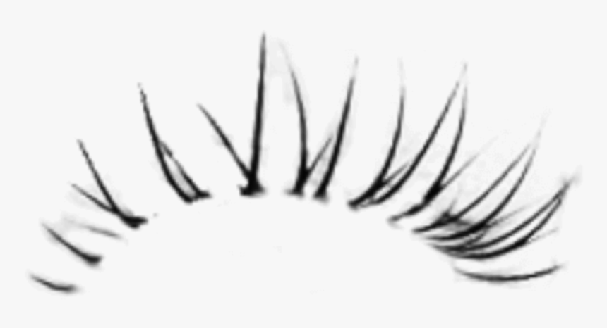 Detail Eyelash Png Nomer 30