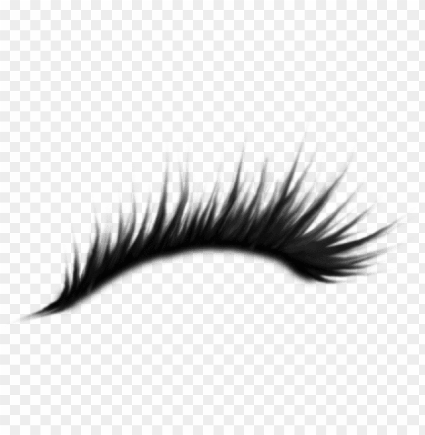 Detail Eyelash Png Nomer 9