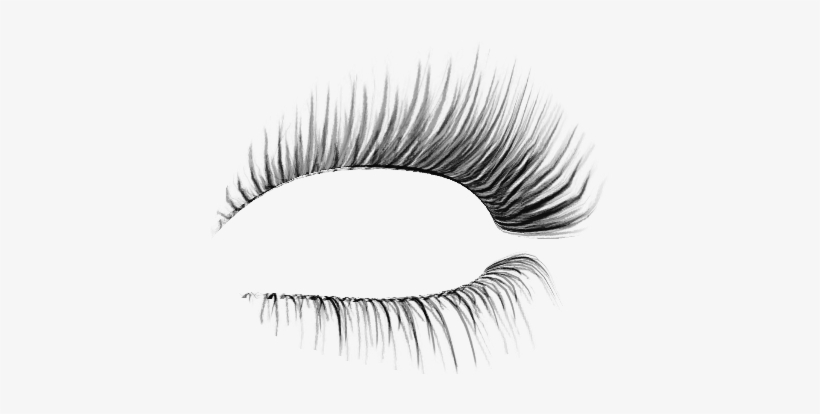 Detail Eyelash Png Transparent Nomer 30