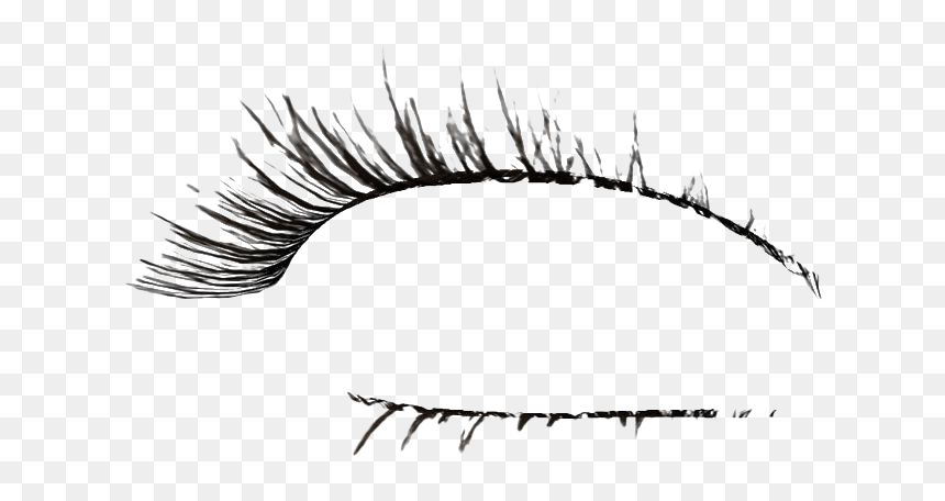 Detail Eyelash Png Transparent Nomer 33