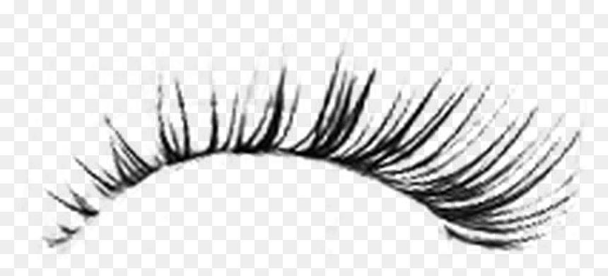 Detail Eyelash Png Transparent Nomer 42