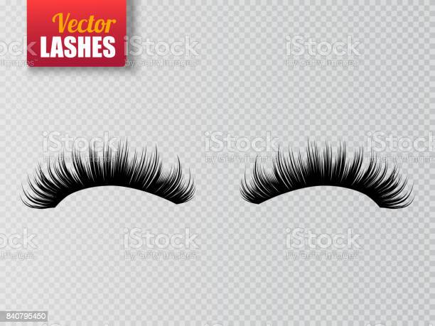 Detail Eyelash Transparent Nomer 48