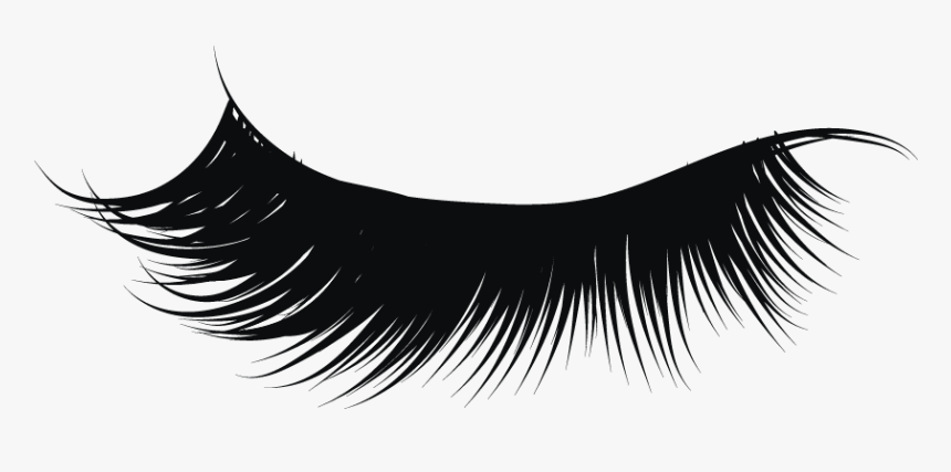 Detail Eyelash Vector Png Nomer 19