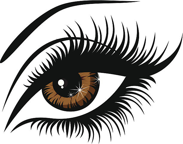 Detail Eyelash Vector Png Nomer 29