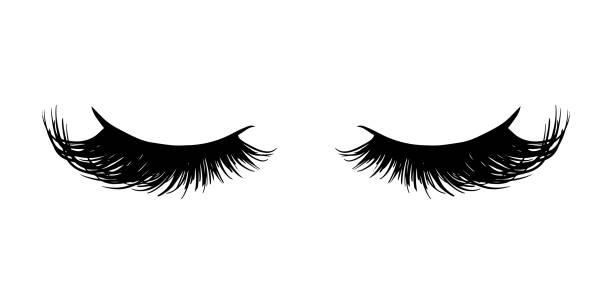 Detail Eyelash Vector Png Nomer 43