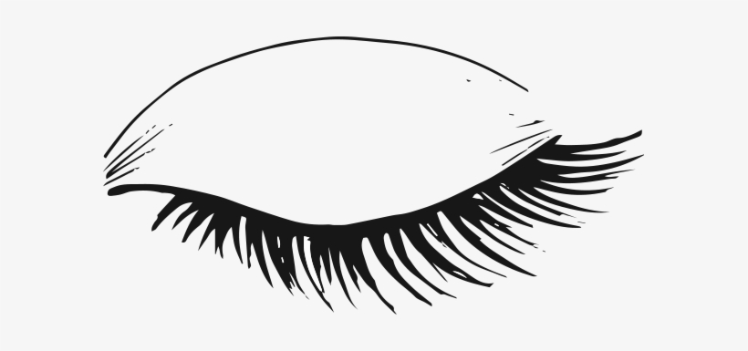 Detail Eyelash Vector Png Nomer 6