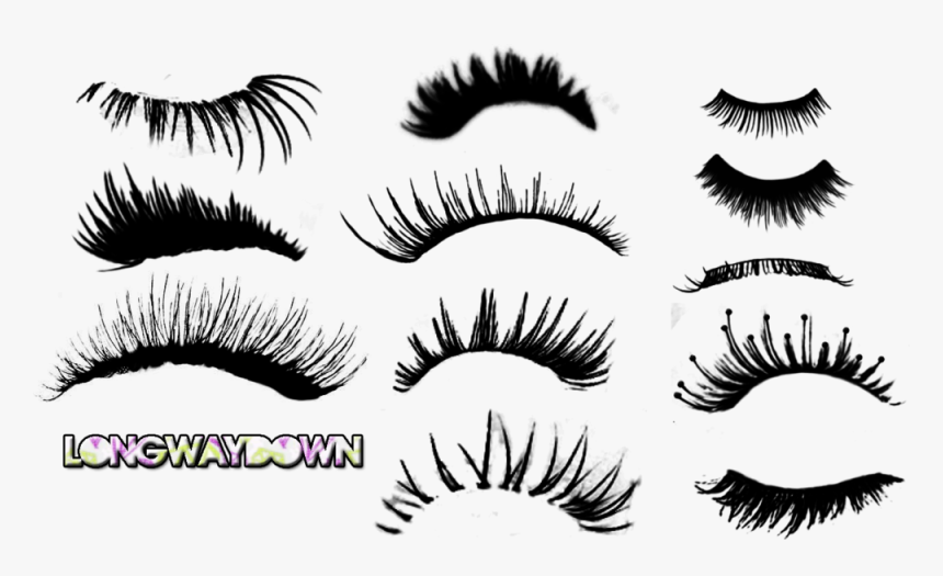 Detail Eyelash Vector Png Nomer 53