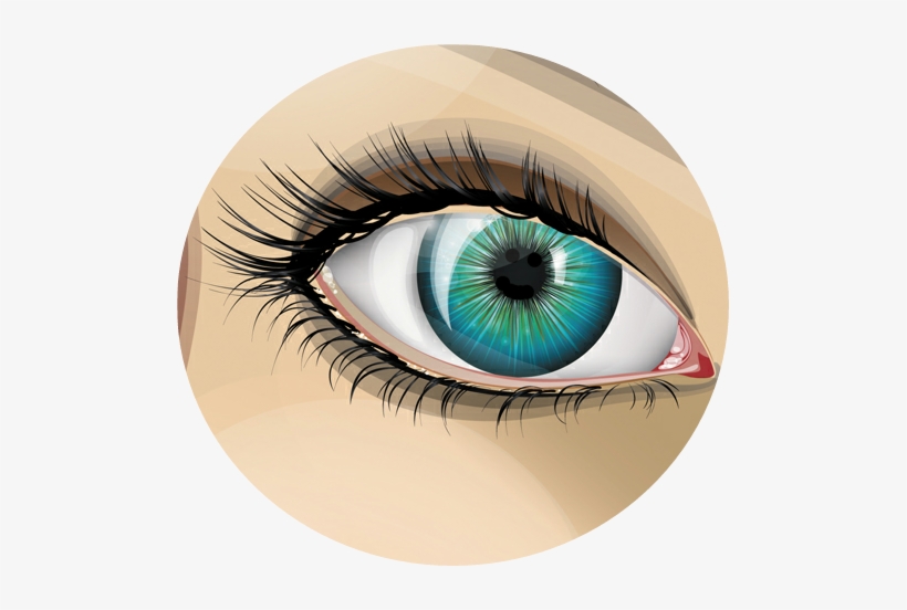 Detail Eyelash Vector Png Nomer 56