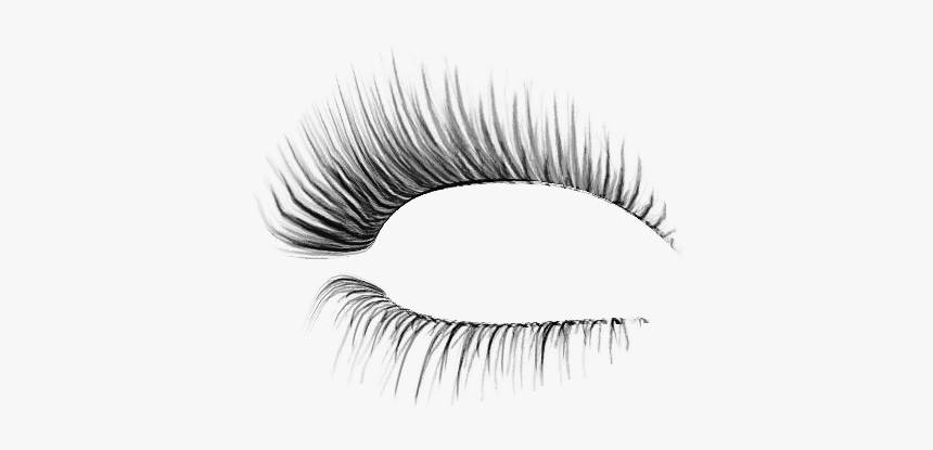 Detail Eyelashes Drawing Png Nomer 14