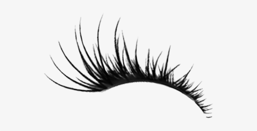 Detail Eyelashes Drawing Png Nomer 20