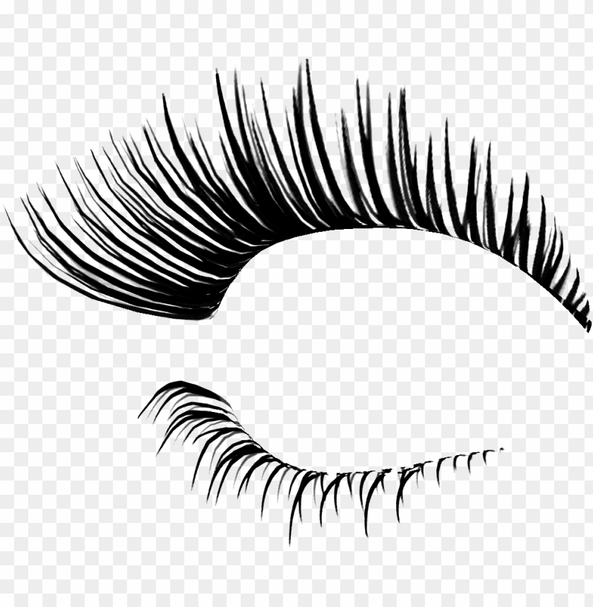 Detail Eyelashes No Background Nomer 4
