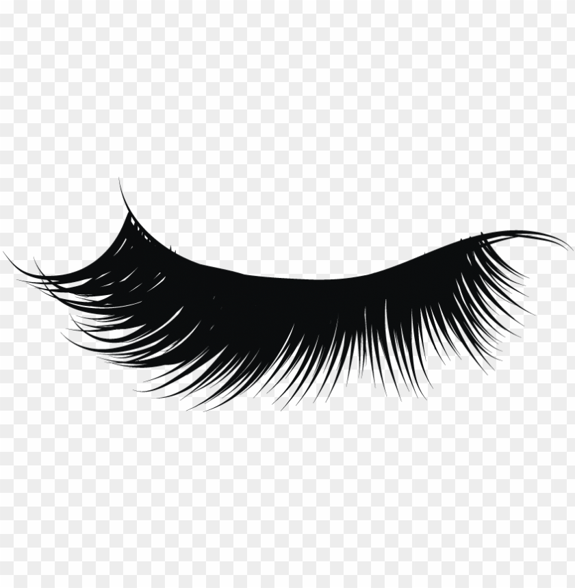 Detail Eyelashes Pictures Clipart Nomer 16