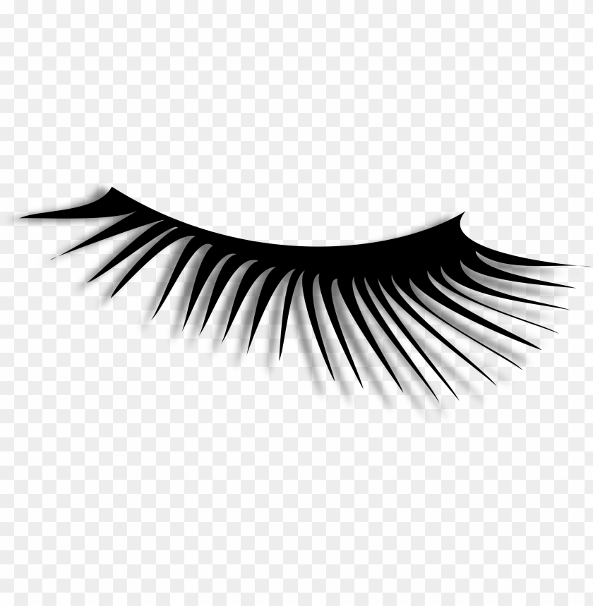 Detail Eyelashes Pictures Clipart Nomer 26
