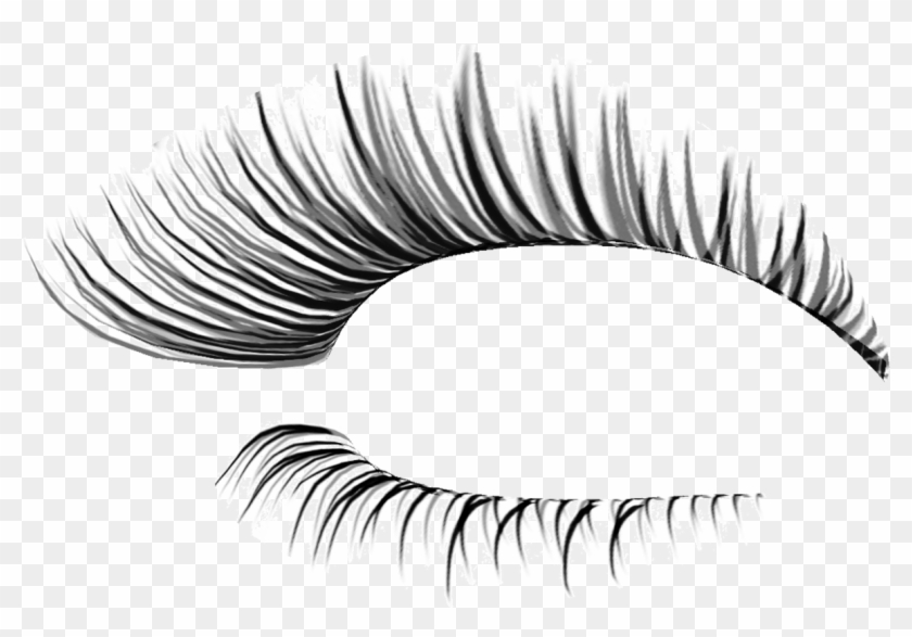 Detail Eyelashes Pictures Clipart Nomer 8