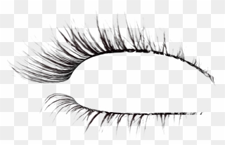 Detail Eyelashes Png For Photoshop Nomer 15